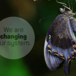 Das System wird sich bald ändern (offizieller Newsletter, 22. Juli 2022)