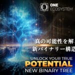 Der Beginn eines neuen Kapitels: Willkommen in der neuen optimierten Binärstruktur