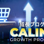 Wir stellen vor: Das CALINA-Programm: Ein Gedenken und ein echtes Versprechen