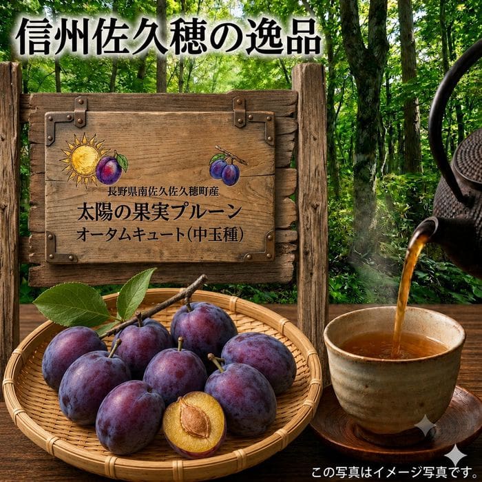 太陽の果実プルーン　オータムキュート（中玉種）　DS予約販売（出荷予定 9月15日頃から2週間）